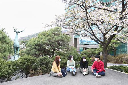 2021년 서울캠퍼스의 봄 